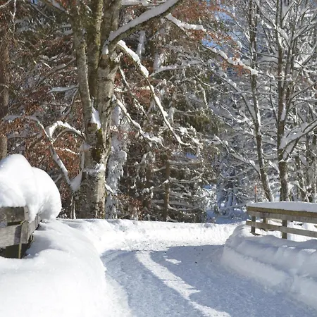 彩虹公寓 公寓 佩尔蒂绍