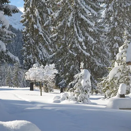Haus Regenbogen Apartment Pertisau