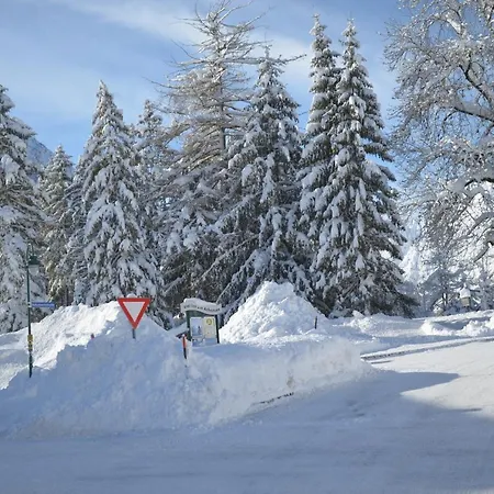 彩虹公寓 * 佩尔蒂绍
