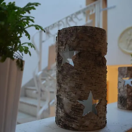 公寓 彩虹公寓 *