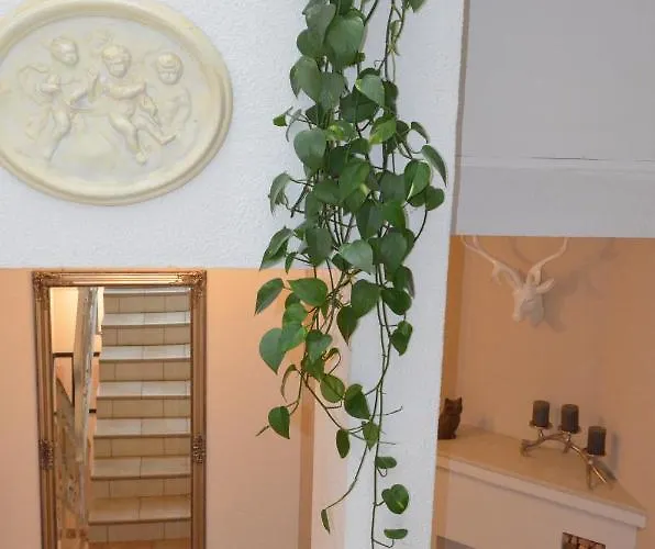 Haus Regenbogen Apartmán *