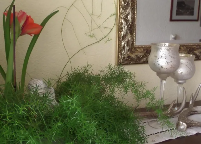 Haus Regenbogen Lejlighed Pertisau