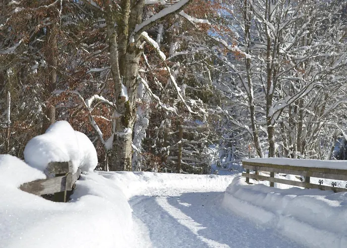 Haus Regenbogen Appartement Pertisau