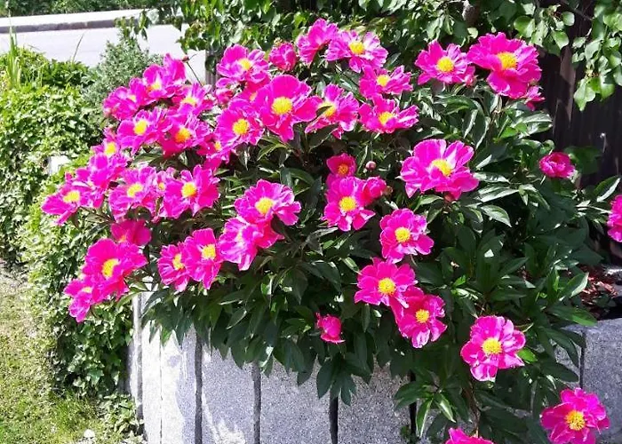 Appartement Haus Regenbogen