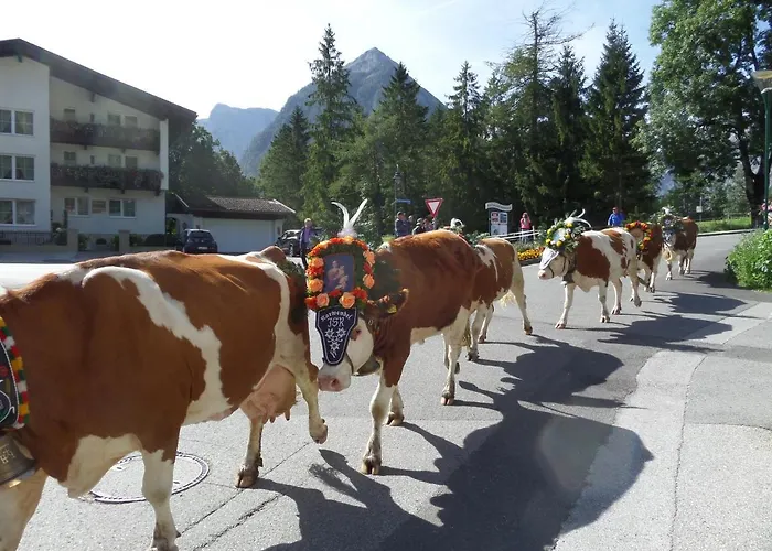 Appartement Haus Regenbogen